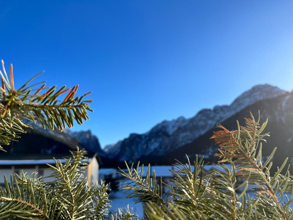 Guesthouse Rosengarten Toblach Exteriör bild
